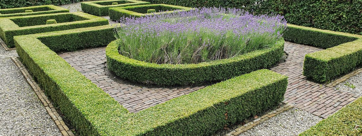 Tuinonderhoud